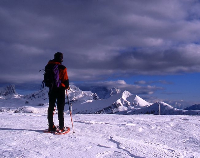  Alpine panoramas